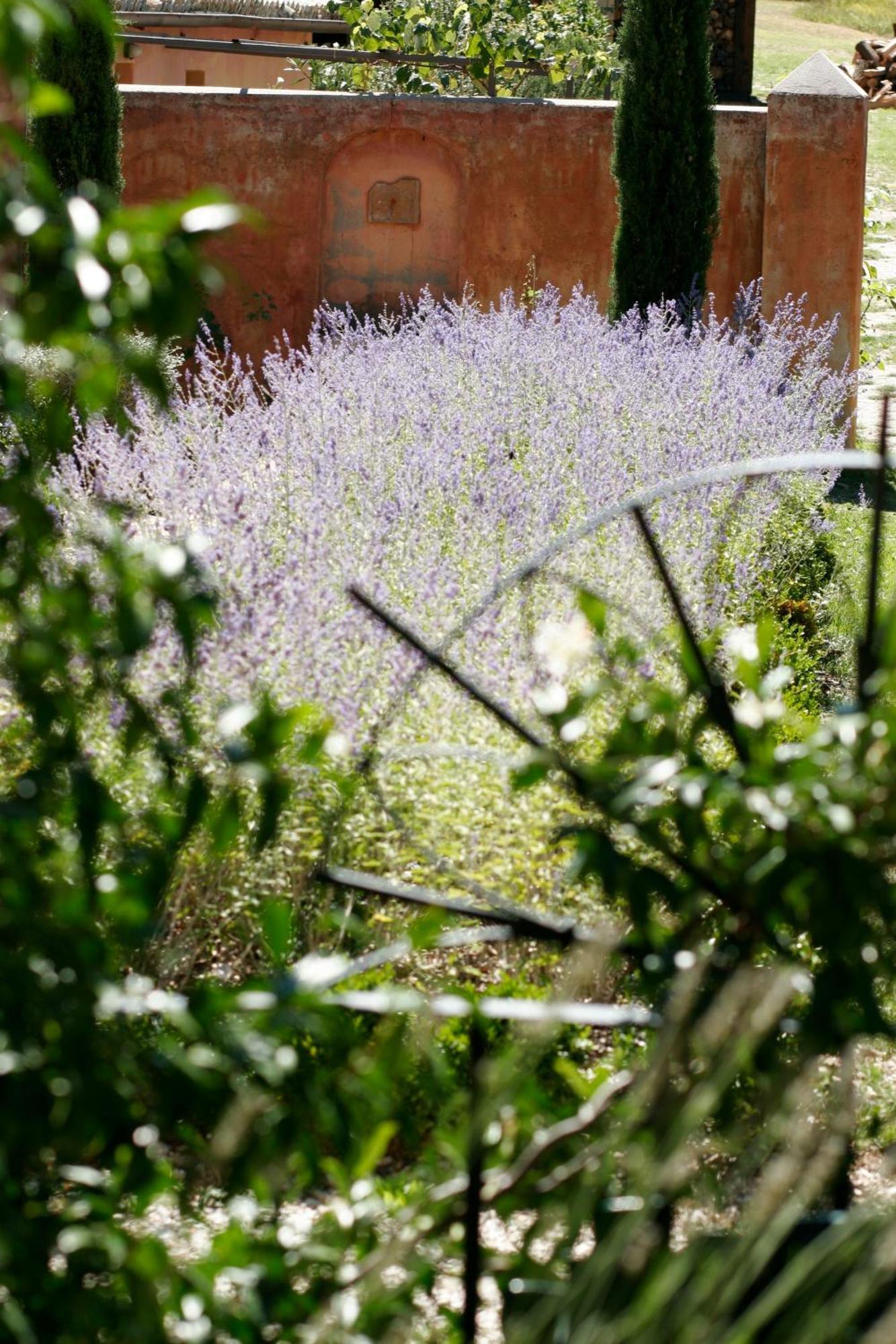 Casa Rosa Guest House Santa Maria Lignano Eksteriør bilde