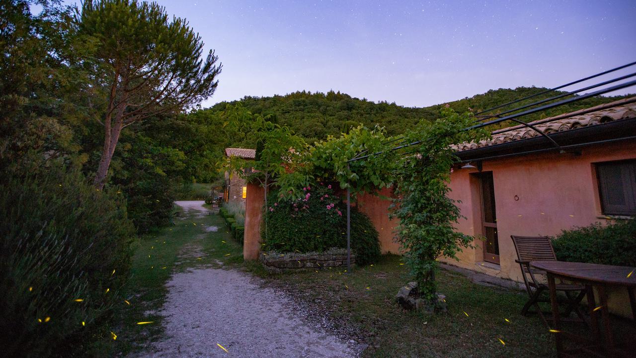 Casa Rosa Guest House Santa Maria Lignano Eksteriør bilde